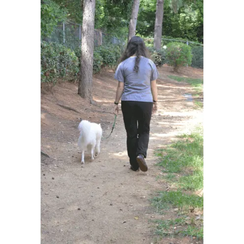woman and dog walking